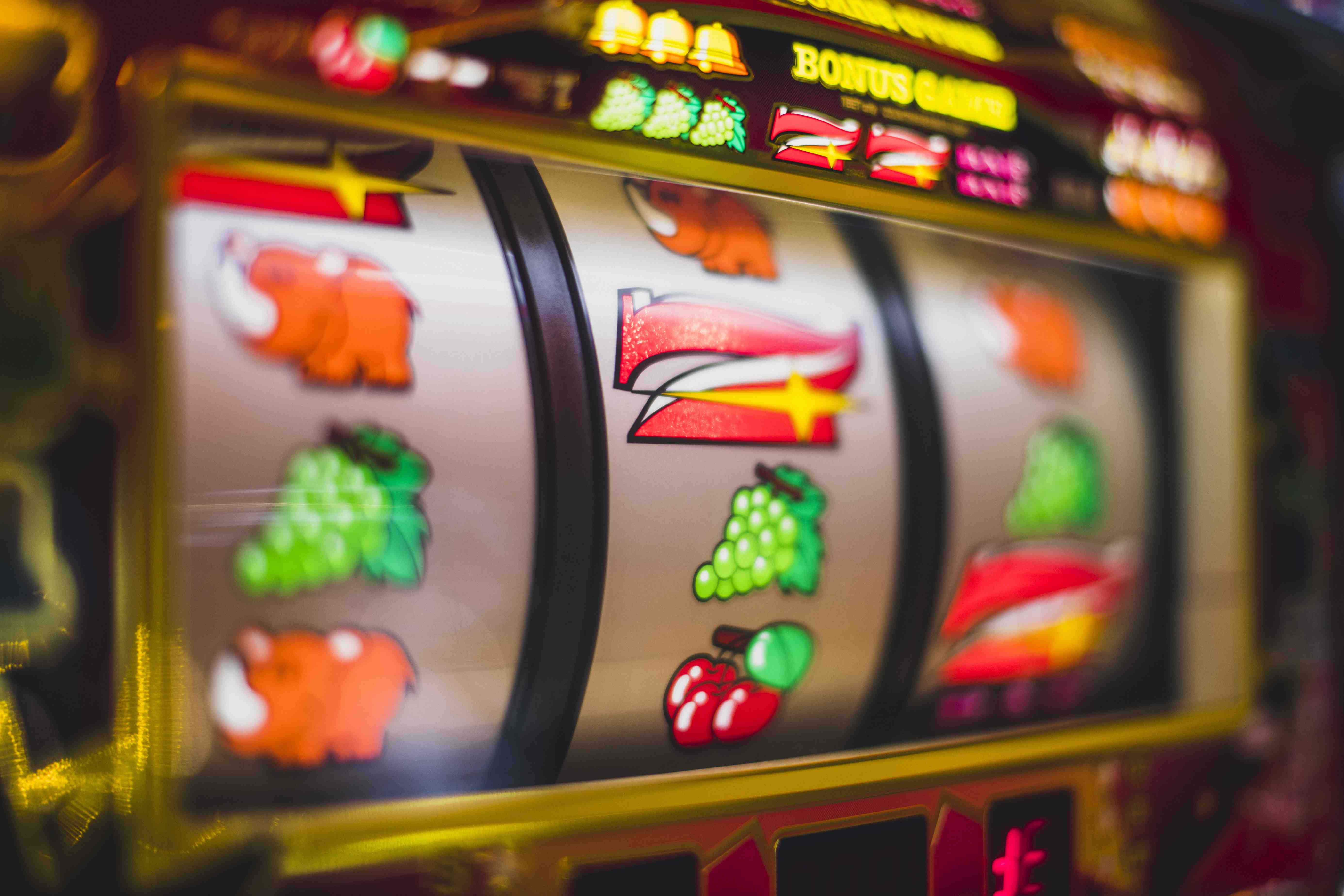 bigwin casino